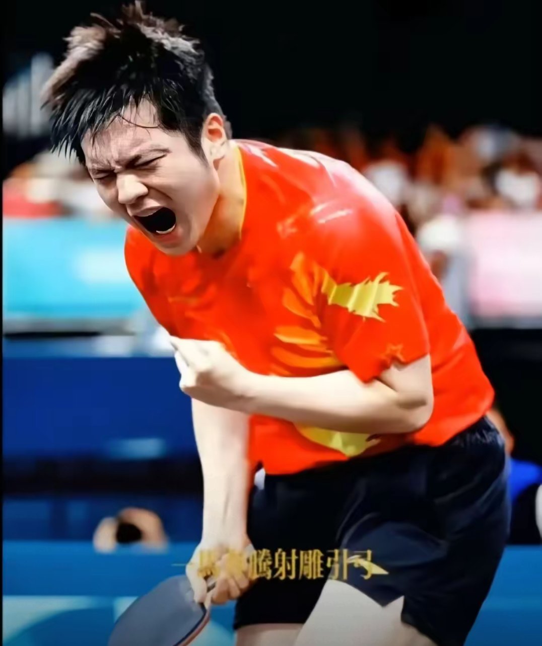 国乒压哨绝杀塔图姆，全场沸腾！经典一战再现传奇-爱游戏体育